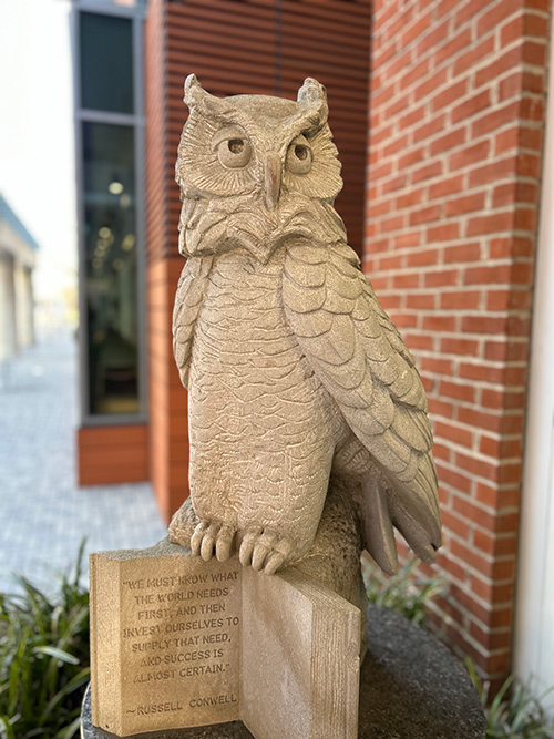 OWLympiad Owl