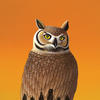 Digital Posters - Temple Owl