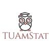 TU American Statistical Organization Logo